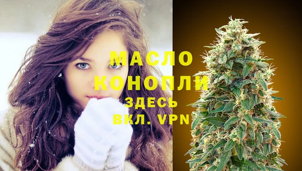 индика Шали