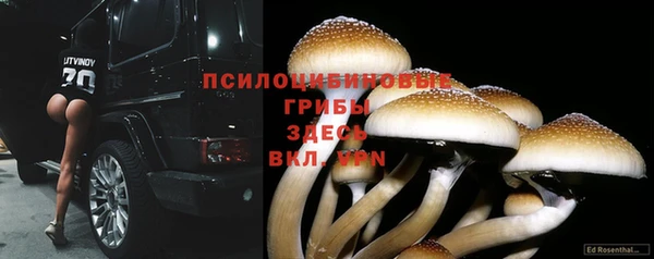 apvp Волосово