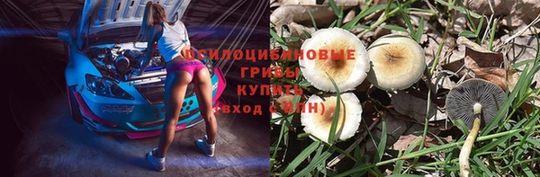 гашик Чердынь
