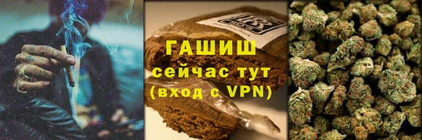 индика Шали
