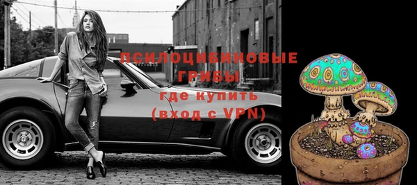 герыч Шадринск