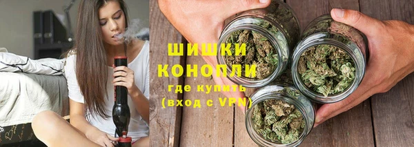 индика Шали
