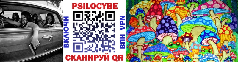Галлюциногенные грибы прущие грибы  Купить  Пионерский 